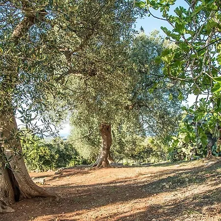 Fiorenza